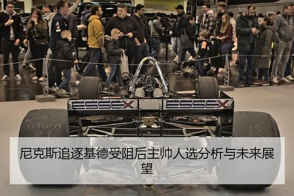 ni-ke-si-zhui-zhu-ji-de-shou-zu-hou-zhu-shuai-ren-xuan-fen-xi-yu-wei-lai-zhan-wang-2-283.jpg