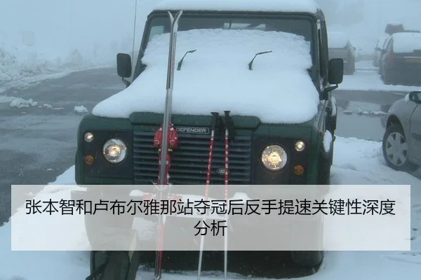 张本智和卢布尔雅那站夺冠后反手提速关键性深度分析